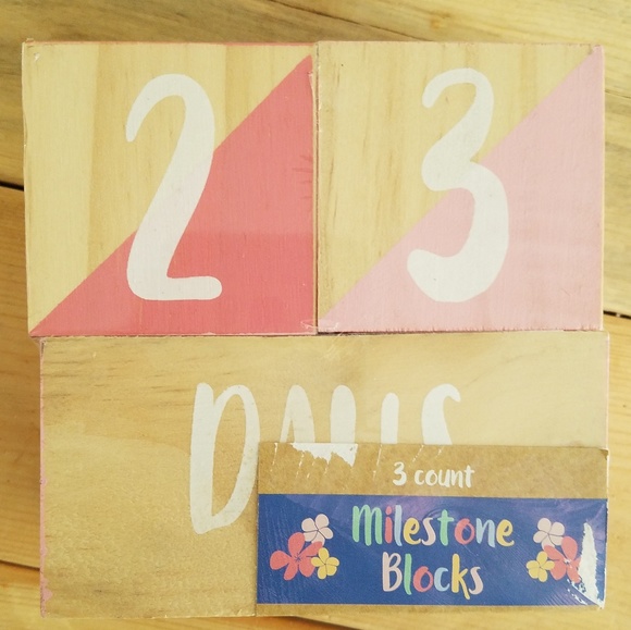 baby milestone blocks target